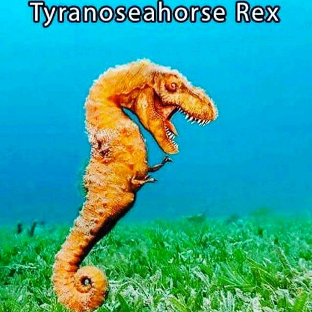 Meet your Posher, Kris